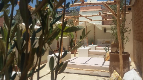 Riad Farhan image 1